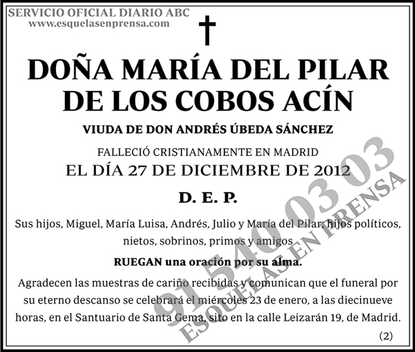 María del Pilar de los Cobos Acín